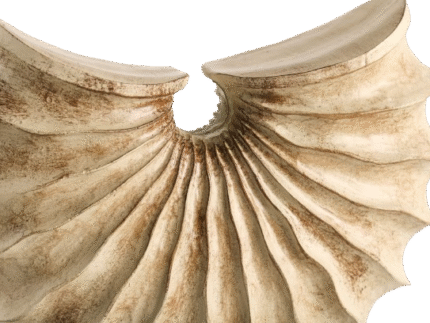 ETERNAL WAVES