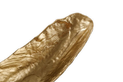 Sculptural Gold Organic Centerpiece Tray – Luxury Decor UAE