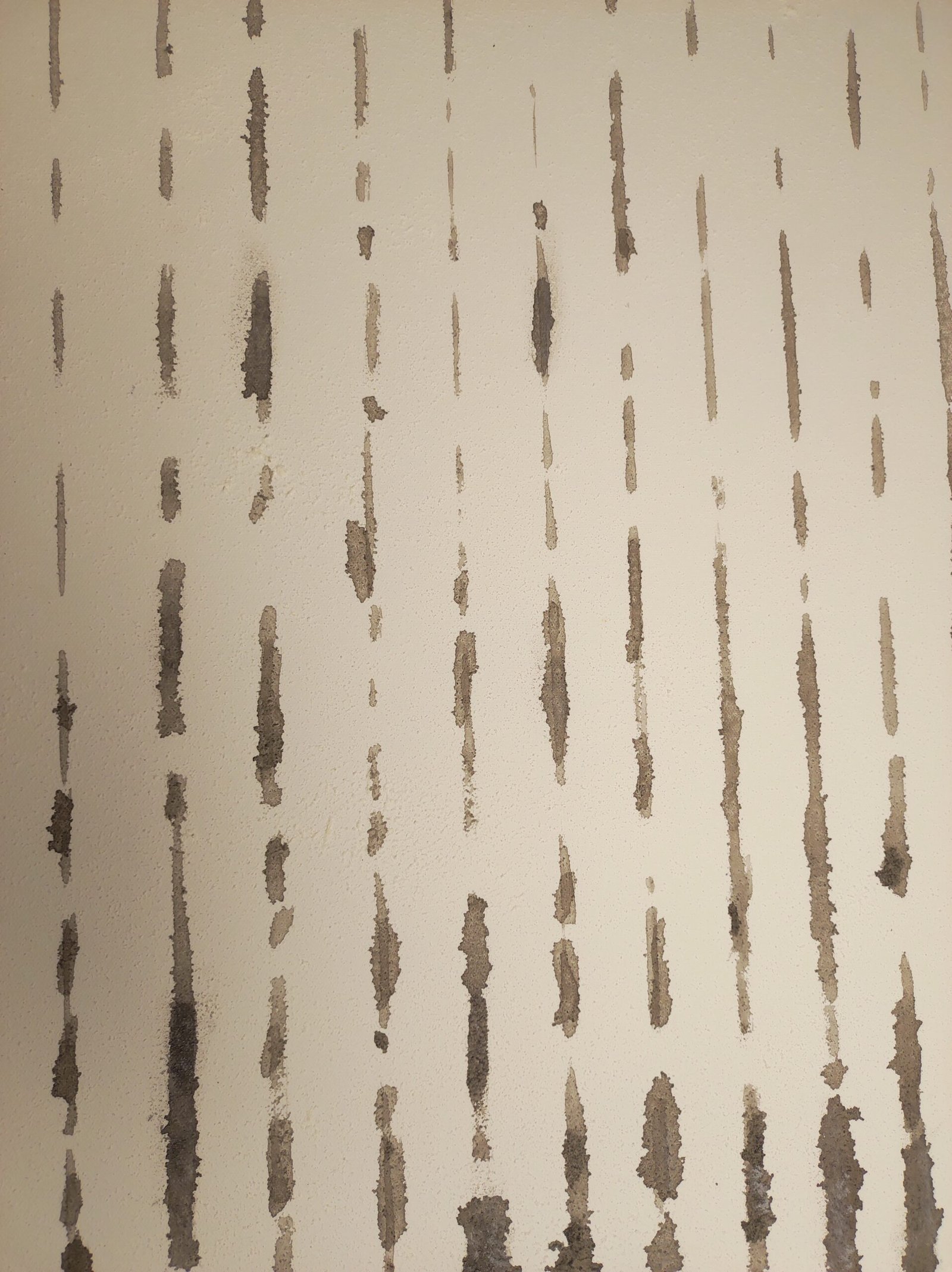 Echo Veil – Hand-Painted Abstract Wall Art